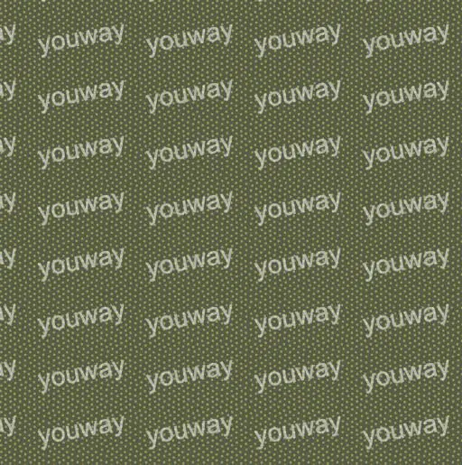 点点之间pwt00132