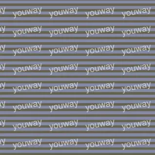 直韵条纹pwt0157