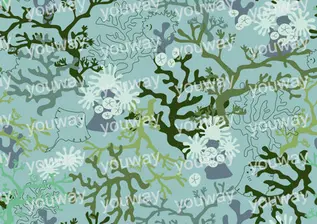 自然绘梦・植物纹样集npt0179