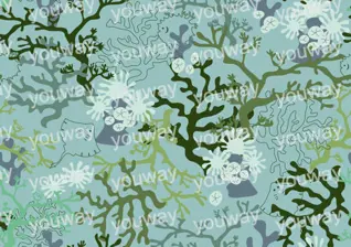 自然绘梦・植物纹样集npt0179