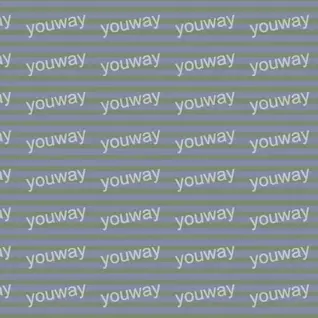 直韵条纹pwt0156