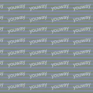 直韵条纹pwt0156