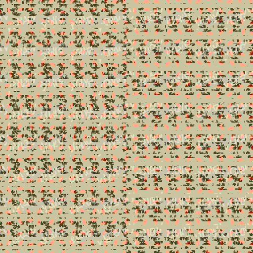 锦花逸韵系列pwt0116