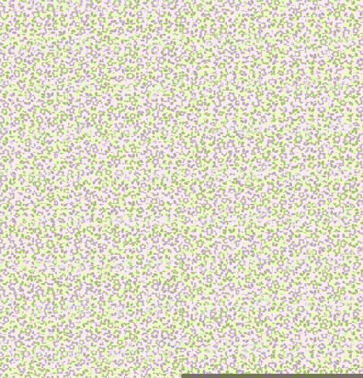 锦花逸韵系列pwt0063