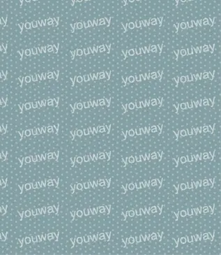 点点之间pwt0007