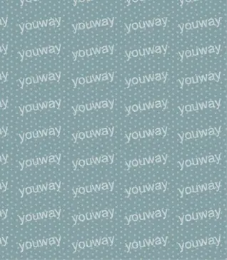 点点之间pwt0007